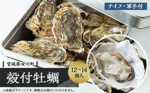 潮香焼セット(殻付き牡蠣・カンカン焼き)ナイフ・軍手入り【配送不可地域：離島・沖縄県・九州】