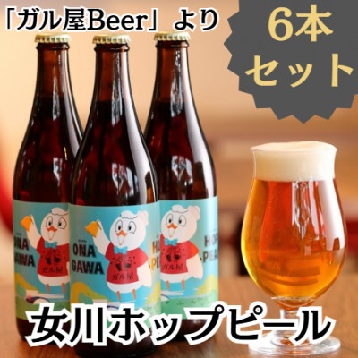 女川ホップピール(発泡酒)6本セット　宮城 500ml 瓶【配送不可地域：離島】