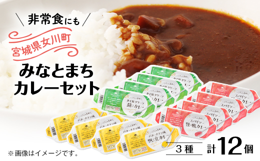 三陸産海の幸みなとまちカレー詰め合わせ