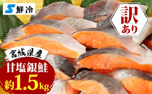 訳あり　銀鮭　宮城県産　甘塩　切身　約1.5kg　国産　/　宮城県　女川町【配送不可地域：離島】