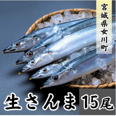 生さんま　15尾【配送不可地域：離島・北海道・沖縄県・信越、北陸・近畿・中国・四国・九州】