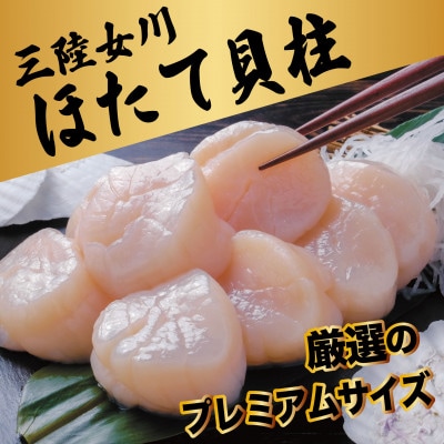 冷凍ほたて貝柱(生食用)　厳選のプレミアムサイズ　500g/CAS凍結【配送不可地域：離島】