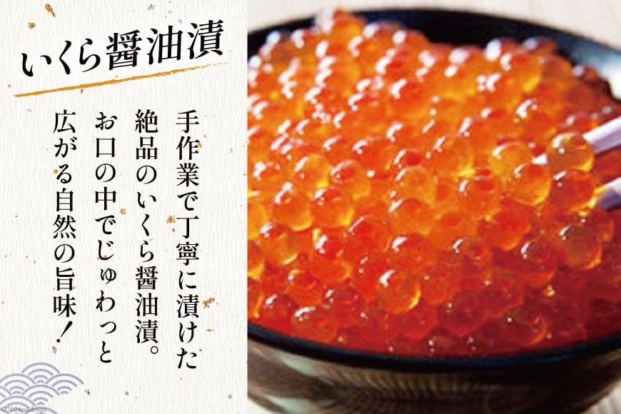 海鮮 詰め合わせ 豪華・海の恵みパック 5種×各2 [たみこの海パック 宮城県 南三陸町 30ae0027] 魚介類 アワビ 鮑 イクラ ウニ 雲丹 高級 希少 セット パック 冷凍