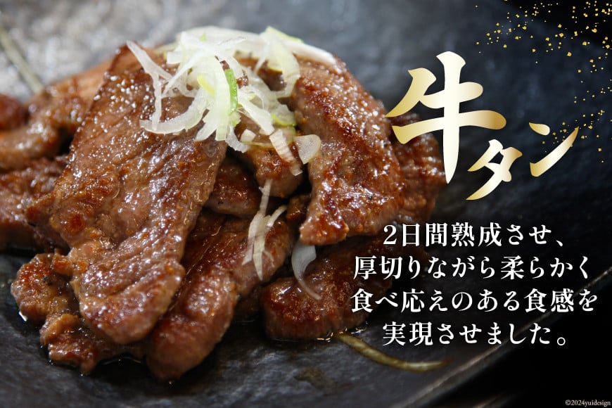 肉 牛タン 厚切 塩味 120g×2・牛タン サガリカルビ 辛みそ 250g×2 計740g [佐利 宮城県 南三陸町 30ag0009] 精肉 牛肉 牛 牛たん タン塩 サガリ 牛タンサガリ カルビ 厚切り 味付き 焼肉 焼き肉 BBQ 小分け 冷凍