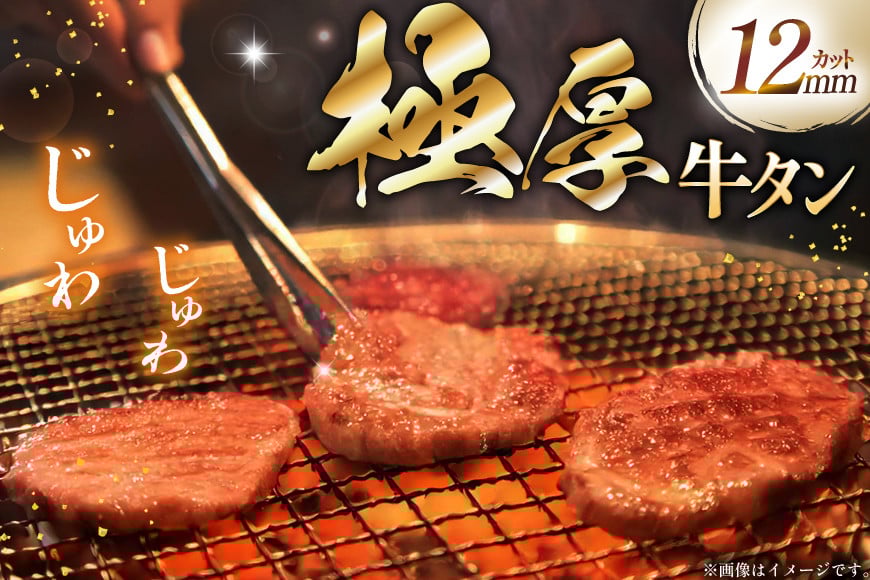 極厚 牛タン ステーキ 400g 2p 計800g [佐利 宮城県 南三陸町 30ag0012] 牛肉 精肉 牛たん 牛たん塩 牛タン塩 タン 肉 厚切り 厚切 焼肉 焼き肉 タン塩 たん塩 冷凍 小分け 個包装