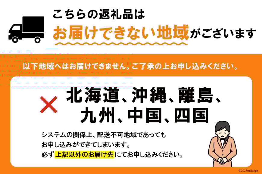 鮮魚 詰め合わせ 朝どれ鮮魚BOX 5～6人前 下処理済み [さかなのみうら 宮城県 南三陸町 30aj0007] 魚 旬 朝とれ 産地直送