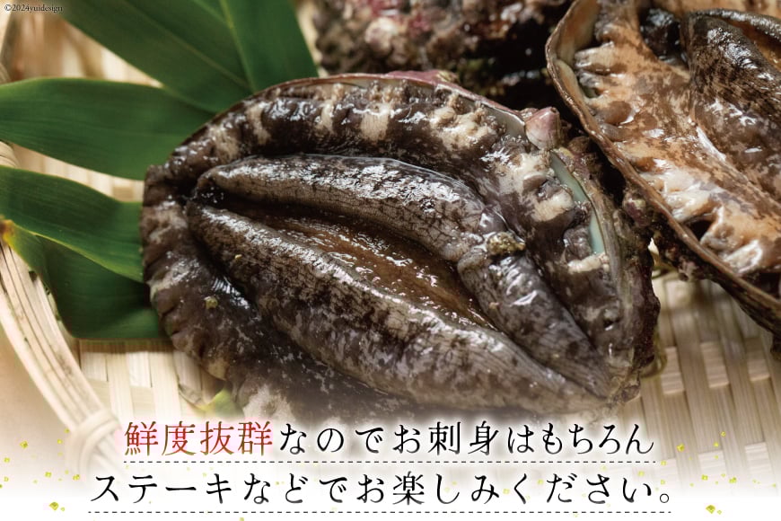 海鮮 魚介 三陸 天然 アワビ 100g × 2個＆ 湯通し めかぶ 90g × 3個 計 約450g [マルヤ五洋水産 宮城県 南三陸町 30al0004] あわび 鮑 蝦夷あわび 貝 魚介類 冷凍 刺身 刺し身 活き ステーキ メカブ 個包装