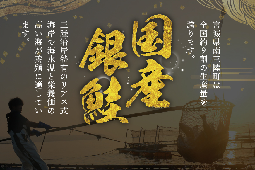 訳あり 三陸産 銀鮭 切身 約1.1kg [阿部長商店 宮城県 南三陸町 m304amh530008] 魚介類 魚 鮭 海鮮 さけ サケ 鮭切身 シャケ 切り身 訳アリ おかず 弁当 サーモン 銀鮭切り身 国産 無塩 規格外 無塩鮭 不揃い 冷凍 家庭用 わけあり