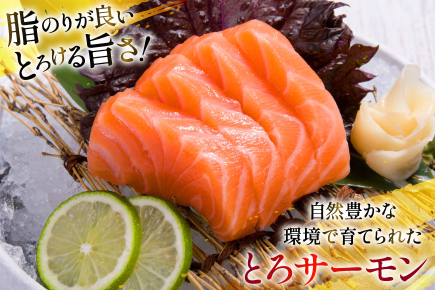 定期便 訳あり とろサーモン 刺身 5パック計1kg×3回 総計3kg 毎月 3回 定期 [たみこの海パック 宮城県 南三陸町 m304amh560079] サーモン 魚 魚介類 海鮮 さしみ 生食 鮭 さけ トラウト ハラミ トロ 冷凍 小分け