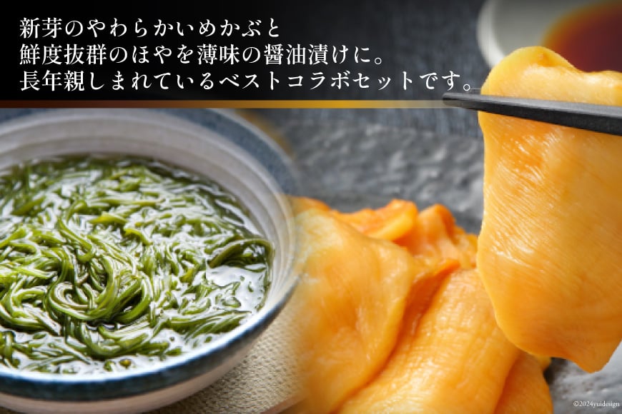 海鮮 セット 歌津小太郎 めかぶ漬 100g × 3袋 ほや 醤油漬 60g × 3袋 計6袋 [橋本水産食品 宮城県 南三陸町 m304amh590061] めかぶ 新芽 ホヤ 鮮度抜群 小分け おつまみ おかず