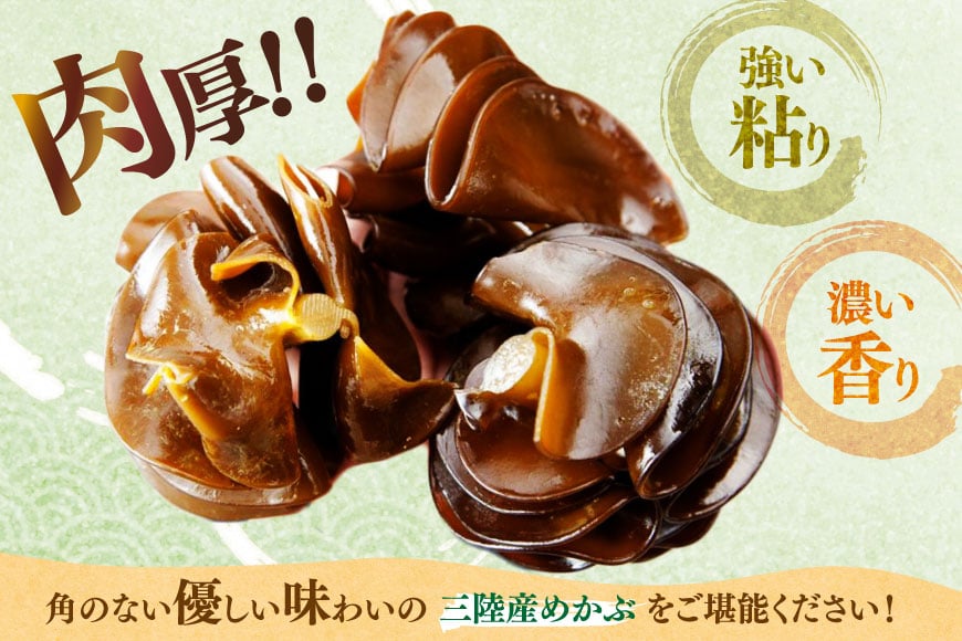 海藻 とんとん めかぶ 湯通し ぎばさ 各3本 セット [南三陸さんさんマルシェ 宮城県 南三陸町 m304amh600079] 冷凍 国産 メカブ あかもく アカモク