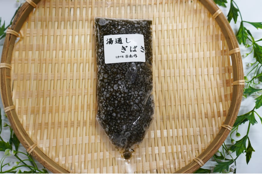 海藻 あかもく 湯通し ぎばさ 1本 [南三陸さんさんマルシェ 宮城県 南三陸町 m304amh600083] 冷凍 国産 アカモク