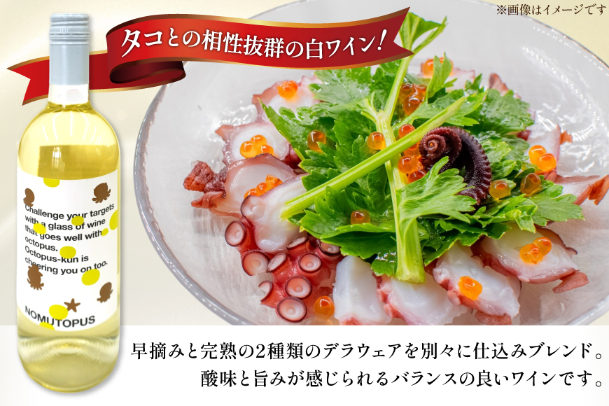 ワイン 南三陸ワイナリー ノムトパス 白 辛口 750ml ×1本 [南三陸さんさんマルシェ 宮城県 南三陸町 m304amh600107] 酒 お酒 白ワイン アルコール 晩酌