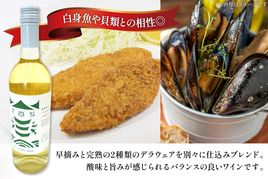 ワイン 南三陸ワイナリー デラウェア 白 辛口 750ml ×1本 [南三陸さんさんマルシェ 宮城県 南三陸町 m304amh600108] 酒 お酒 白ワイン アルコール 晩酌