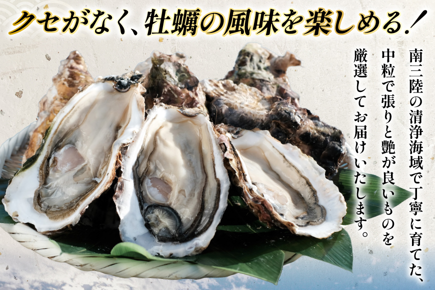 【期間限定発送】 宮城県産 むき身 極粒旨かき 生食用 500g ×1p[丸壽阿部商店 宮城県 南三陸町 m304bir010001] かき カキ 牡蠣 生牡蠣 貝 魚介類 剥き身 むき身 殻なし 冷蔵 新鮮 なべ カキフライ 牡蠣ご飯 濃厚