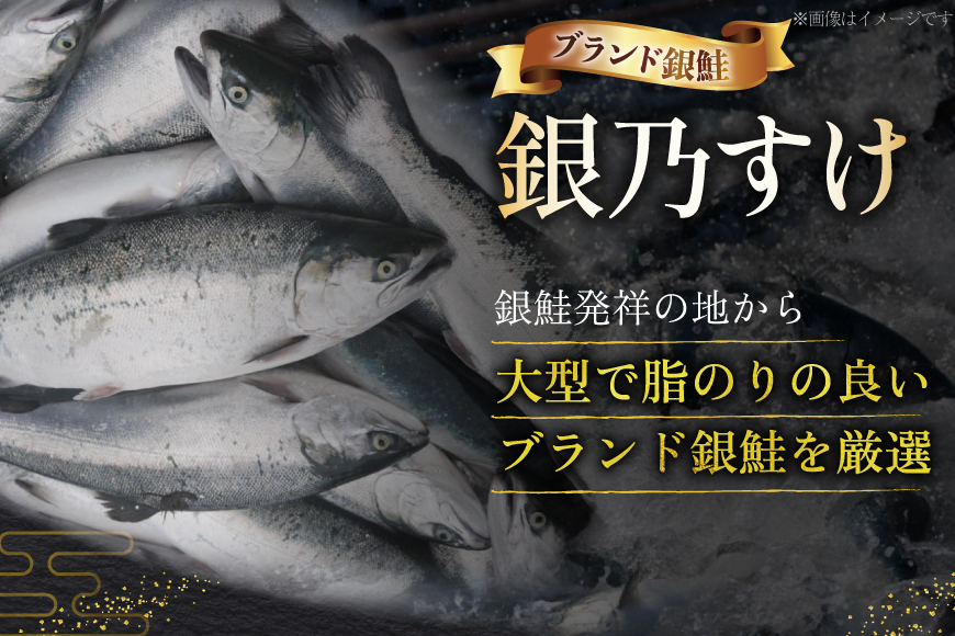 銀鮭 銀乃すけ 寒風干し 大辛口 厚切り 約100g ×1切入 合計16P [行場商店 宮城県 南三陸町 m304bir900000] 魚 魚介類 サーモン 銀鮭 塩銀鮭 シャケ 切り身 さけ サケ 国産 小分け 個包装 冷凍