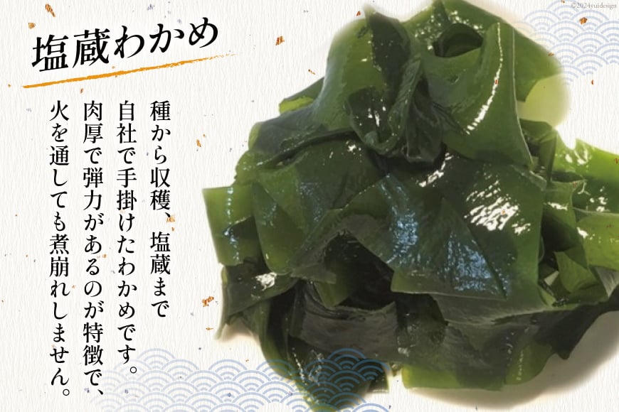 海藻 詰め合わせ 海藻イチオシパック 塩蔵わかめ 80g×1 とろろ昆布 25g×1 焼ばらのり 7g×1 べっこばり 2種 (パリパリめかぶ5g 香りおきあみ8g) [たみこの海パック 宮城県 南三陸町 30ae0021] ワカメ 海苔 ノリ 乾燥