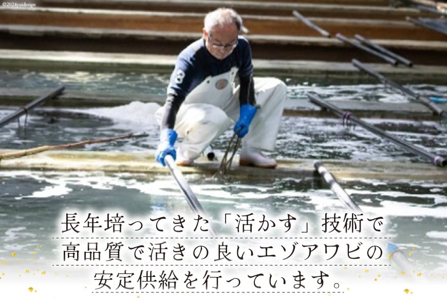 海鮮 魚介 専門問屋が送る 三陸 天然 アワビ (4個入) [マルヤ五洋水産 宮城県 南三陸町 30al0001] あわび 鮑 蝦夷あわび 貝 魚介類 冷凍 刺身 刺し身 活き ステーキ