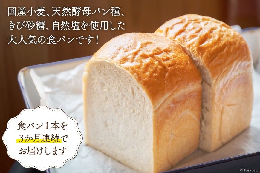 3回 定期便 食パン 天然酵母食パン 1本 [ウィメンズアイ 宮城県 南三陸町 30aq0001] 国産 国産小麦 パン 常温 天然酵母 トースト