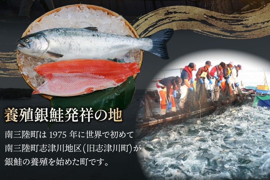 訳あり 三陸産 銀鮭 切身 約2.2kg [阿部長商店 宮城県 南三陸町 m304amh530007] 魚介類 魚 鮭 海鮮 さけ サケ 鮭切身 シャケ 切り身 訳アリ おかず 弁当 サーモン 銀鮭切り身 国産 無塩 規格外 無塩鮭 不揃い 冷凍 家庭用 わけあり