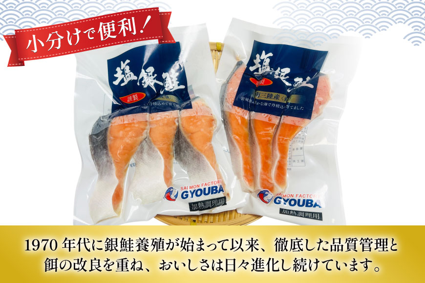 鮭 切身 塩銀鮭パック 3切×2袋 計6切 [たみこの海パック 宮城県 南三陸町 m304amh560067] サーモン 銀鮭 塩銀鮭 シャケ 切り身 さけ サケ 国産 小分け 個包装 冷凍