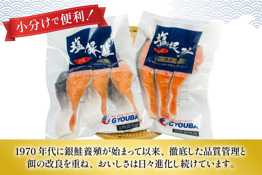 6回 定期便 塩銀鮭パック 3切×2袋×6回 総計12袋 [たみこの海パック 宮城県 南三陸町 m304amh560082] 鮭 切り身 サーモン 銀鮭 塩銀鮭 シャケ 切身 さけ サケ 国産 小分け 個包装 冷凍