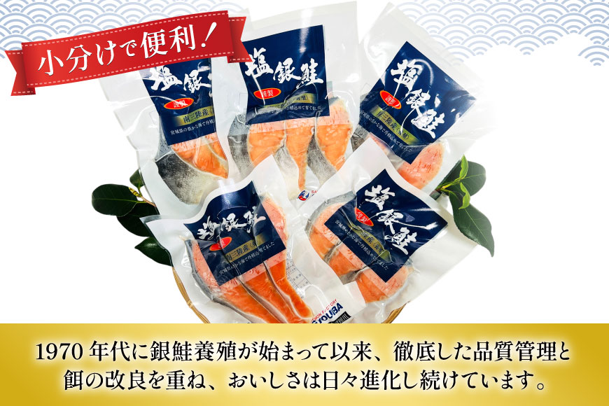 3回 定期便 塩銀鮭パック 3切×5袋×3回 総計15袋 [たみこの海パック 宮城県 南三陸町 m304amh560085] 鮭 切り身 サーモン 銀鮭 塩銀鮭 シャケ 切身 さけ サケ 国産 小分け 個包装 冷凍