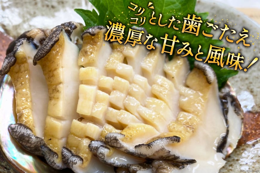【期間限定発送】 海鮮 訳あり 三陸産 活アワビ 800g (7～8個) [マルヤ五洋水産 宮城県 南三陸町 30al0006] 魚介類 あわび 鮑 天然 蝦夷あわび 貝 冷蔵 刺身 刺し身 活き ステーキ