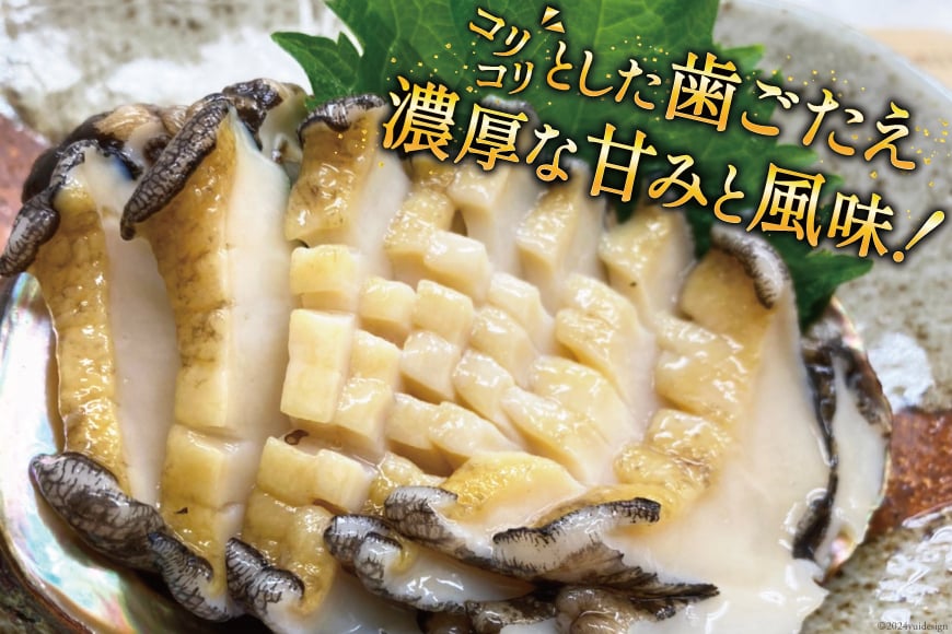 【期間限定発送】 海鮮 魚介 三陸 天然 活 アワビ Mサイズ 800g(6～7個入) [マルヤ五洋水産 宮城県 南三陸町 30al0010] 魚介類 あわび 鮑 天然 蝦夷あわび 貝 冷蔵 刺身 刺し身 活き ステーキ