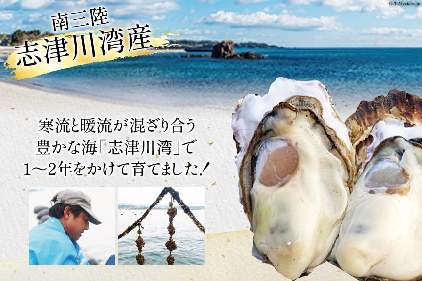 【期間限定発送】 牡蠣 南三陸志津川産 殻付き牡蠣 5.5kg 30個前後 [南三陸牡蠣倶楽部 宮城県 南三陸町 30ao0002] カキ かき 生牡蠣 魚貝類 生牡蠣 貝 海鮮 魚介類 オイスター カキフライ カキ鍋 アヒージョ 魚介 期間限定 冷蔵 新鮮 濃厚