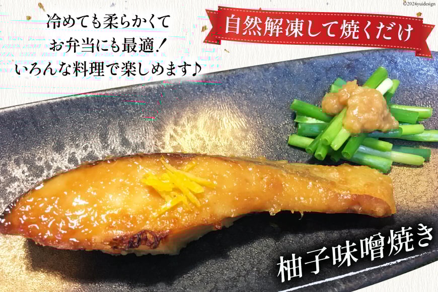 6回 定期便 鮭 切り身 塩銀鮭パック 3切 ×6袋 ×6回 総計36袋 [たみこの海パック 宮城県 南三陸町 m304amh560058] サーモン 銀鮭 塩銀鮭 シャケ 切身 さけ サケ 国産 小分け 個包装 冷凍