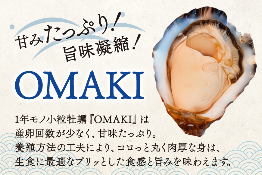 【期間限定発送】 殻付き 牡蠣 計40個 2種(三陸ジオイスター ＆ OMAKI ) 食べ比べ セット 各20個 牡蠣ナイフ付 [Geoyst 宮城県 南三陸町 m304bdz670001] かき カキ オイスター 生牡蠣 真牡蠣