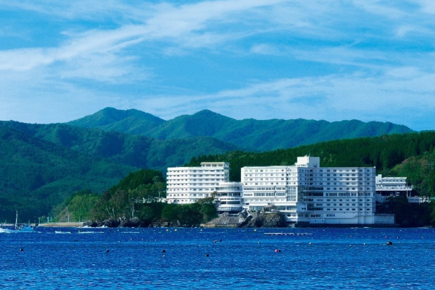 食事券 南三陸キラキラいくら丼 2名様分 [阿部長商店 宮城県 南三陸町 30aa0002] セット お食事券 海鮮 いくら イクラ いくら丼 イクラ丼