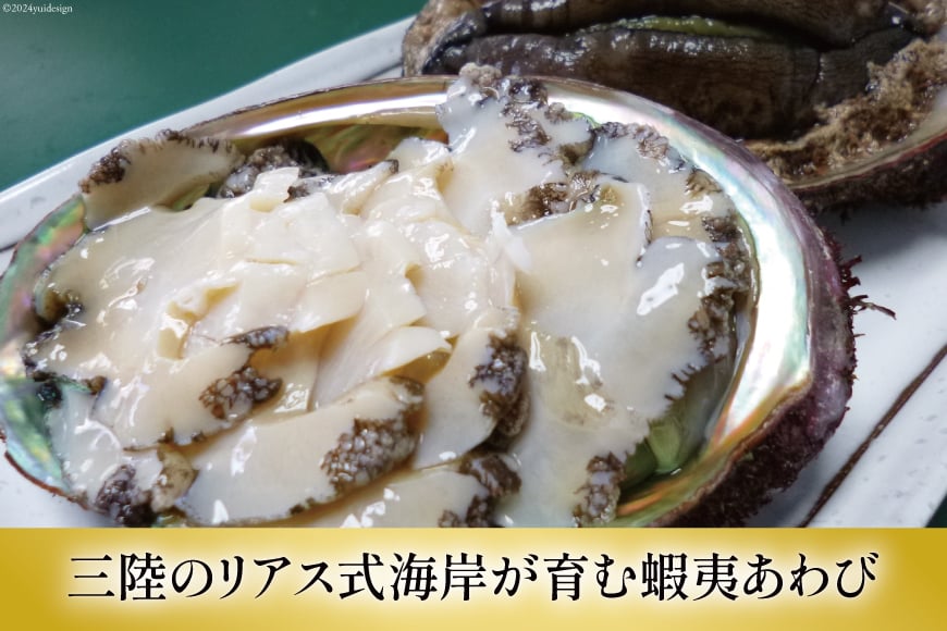 海鮮 詰め合わせ 豪華・海の恵みパック 5種×各2 [たみこの海パック 宮城県 南三陸町 30ae0027] 魚介類 アワビ 鮑 イクラ ウニ 雲丹 高級 希少 セット パック 冷凍