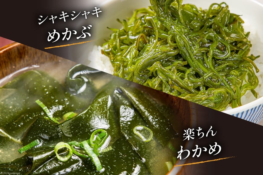 海鮮 詰め合わせ 三陸 海の恵み 5種 セット [たみこの海パック 宮城県 南三陸町 30ae0033] 海鮮セット 魚介 魚介類 魚 海藻 藻 鮭 銀鮭 しゃけ 酒 さけ サバ 鯖 さば たこ わかめ めかぶ