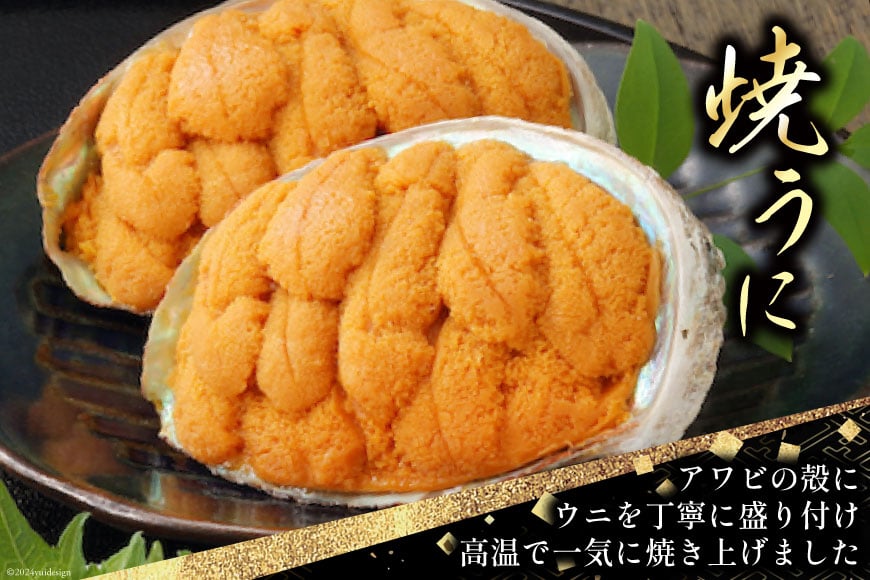 海鮮 詰め合わせ 歌津小太郎 磯の宝 ＜極＞ あわび煮貝 塩うに いくら醤油漬 焼うに [橋本水産食品 宮城県 南三陸町 30ah0004] 魚介 アワビ あわび 鮑 ウニ うに 雲丹 いくら イクラ醤油漬 高級 高級食材 セット 冷凍