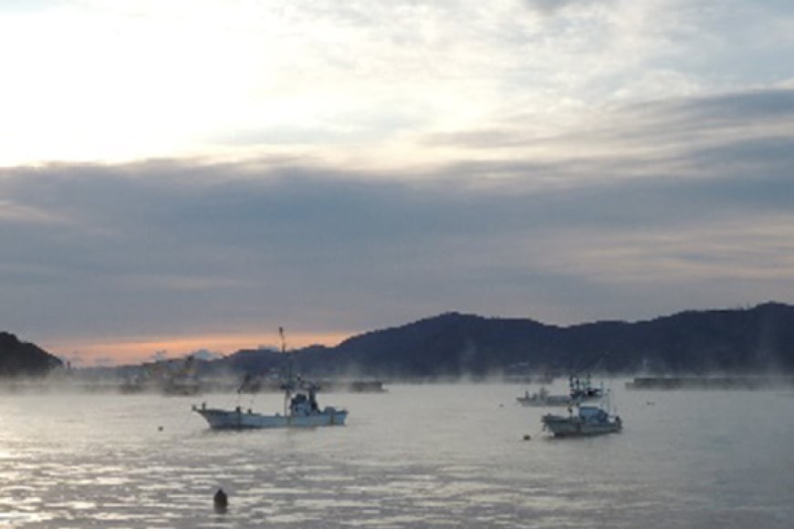 海鮮 魚介 専門問屋が送る 三陸 天然 アワビ (4個入) [マルヤ五洋水産 宮城県 南三陸町 30al0001] あわび 鮑 蝦夷あわび 貝 魚介類 冷凍 刺身 刺し身 活き ステーキ