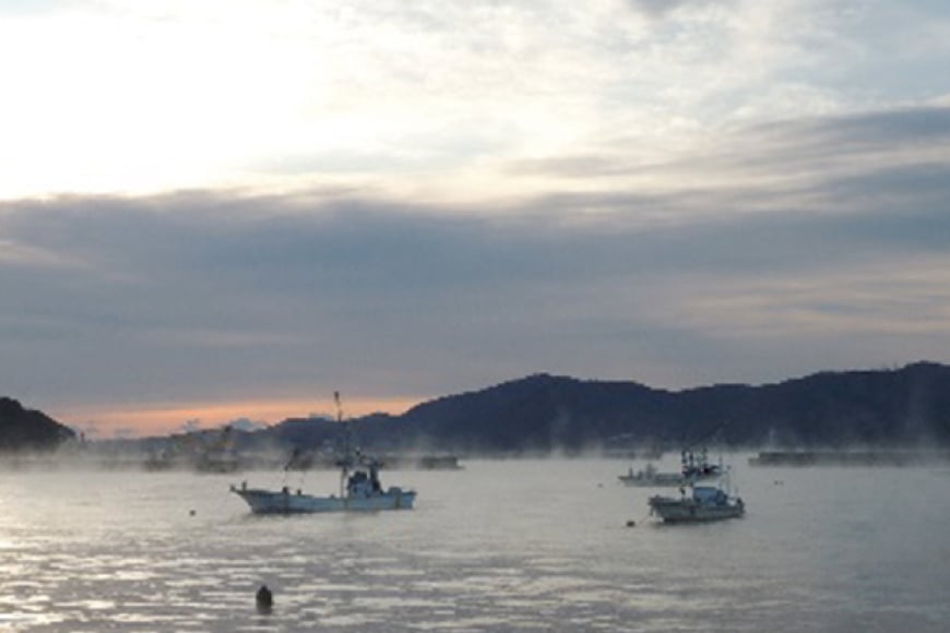 海鮮 魚介 三陸 天然 活き締め アワビ ＆絶品 酒蒸し アワビ 各5個 計10個 [マルヤ五洋水産 宮城県 南三陸町 30al0005] あわび 鮑 蝦夷あわび 貝 魚介類 冷凍 刺身 刺し身 活き ステーキ