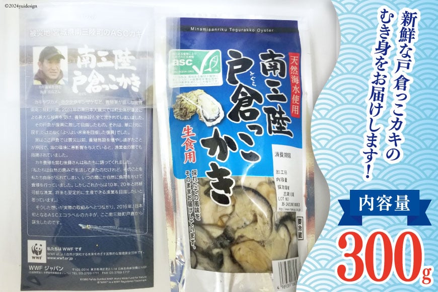 【期間限定発送】 牡蠣 生食 南三陸町産 戸倉っこカキ 300g [宮城県漁業協同組合志津川支所 宮城県 南三陸町 30an0001] 生カキ 生食用 剥き身 かき カキ 生ガキ むき身 むき