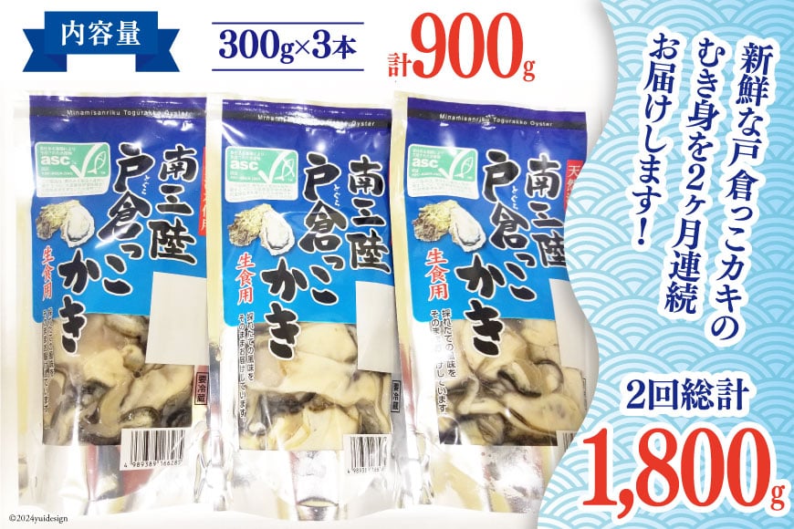 【期間限定発送】 2回 定期便 牡蠣 生食 南三陸町産 戸倉っこカキ 300g×3本 計900g [宮城県漁業協同組合志津川支所 宮城県 南三陸町 30an0004] 生カキ 生食用 剥き身 かき カキ 生ガキ むき身 むき