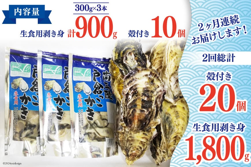 【期間限定発送】2回 定期便 牡蠣 生食 南三陸町産 戸倉っこカキ 300g×3本 計900g 殻付き牡蠣 10個 [宮城県漁業協同組合志津川支所 宮城県 南三陸町 30an0005] 生カキ 生食用 剥き身 かき カキ 生ガキ むき身 むき 殻付