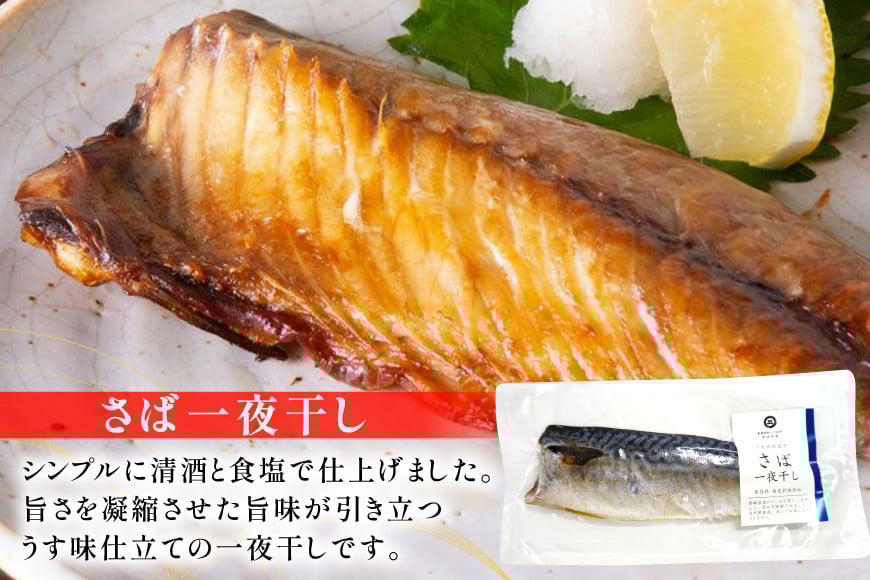 鯖 4種 食べ比べ セット [南三陸さんさんマルシェ 宮城県 南三陸町 m304amh600093] さば サバ 詰め合わせ おつまみ おかず しめ鯖 〆鯖 〆さば 冷燻 一夜干し