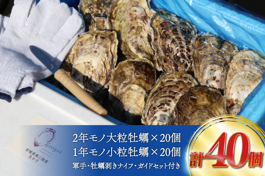 【期間限定発送】 殻付き 牡蠣 計40個 2種(三陸ジオイスター ＆ OMAKI ) 食べ比べ セット 各20個 牡蠣ナイフ付 [Geoyst 宮城県 南三陸町 m304bdz670001] かき カキ オイスター 生牡蠣 真牡蠣