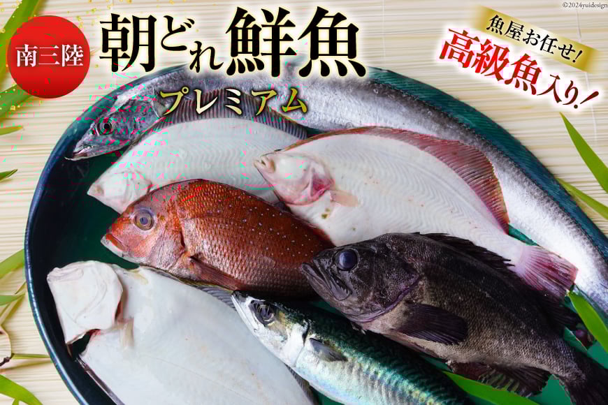 鮮魚 詰め合わせ 朝どれ鮮魚BOX プレミアム 下処理済み [さかなのみうら 宮城県 南三陸町 30aj0008] 魚 旬 朝とれ 産地直送