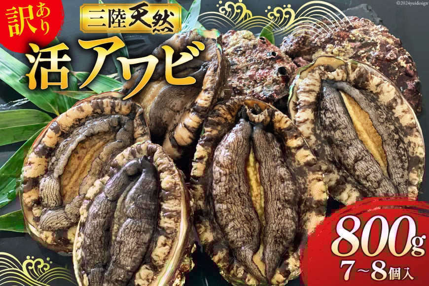 【期間限定発送】 海鮮 訳あり 三陸産 活アワビ 800g (7～8個) [マルヤ五洋水産 宮城県 南三陸町 30al0006] 魚介類 あわび 鮑 天然 蝦夷あわび 貝 冷蔵 刺身 刺し身 活き ステーキ