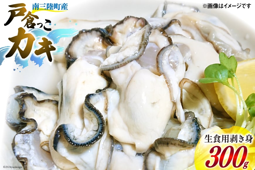 【期間限定発送】 牡蠣 生食 南三陸町産 戸倉っこカキ 300g [宮城県漁業協同組合志津川支所 宮城県 南三陸町 30an0001] 生カキ 生食用 剥き身 かき カキ 生ガキ むき身 むき
