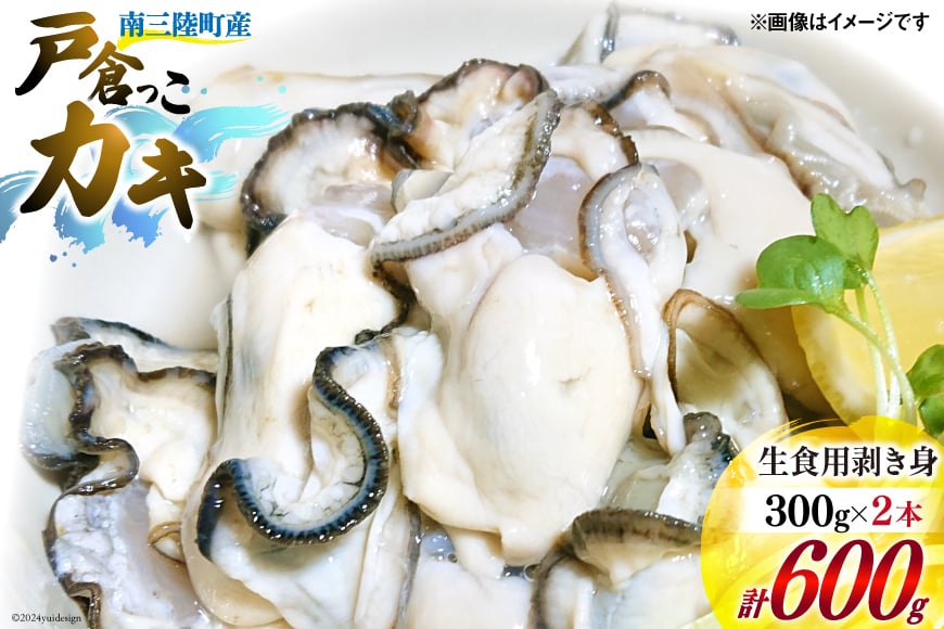 【期間限定発送】 牡蠣 生食 南三陸町産 戸倉っこカキ 300g×2本 計600g [宮城県漁業協同組合志津川支所 宮城県 南三陸町 30an0002] 生カキ 生食用 剥き身 かき カキ 生ガキ むき身 むき