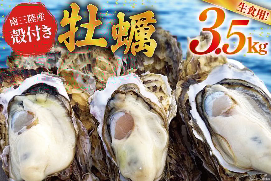 【期間限定発送】 牡蠣 南三陸志津川産 殻付き牡蠣 3.5kg 20個前後 [南三陸牡蠣倶楽部 宮城県 南三陸町 30ao0001] カキ かき 生牡蠣 魚貝類 生牡蠣 貝 海鮮 魚介類 オイスター カキフライ カキ鍋 アヒージョ 魚介 期間限定 冷蔵 新鮮 濃厚