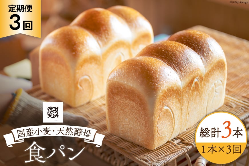 3回 定期便 食パン 天然酵母食パン 1本 [ウィメンズアイ 宮城県 南三陸町 30aq0001] 国産 国産小麦 パン 常温 天然酵母 トースト