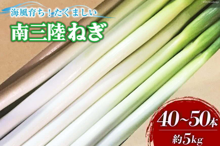 【期間限定発送】野菜 南三陸ねぎ 40〜50本 5kg前後 [グリーンファーマーズ・宮城 宮城県 南三陸町 30be0001] ねぎ 長ネギ 長ねぎ 期間限定